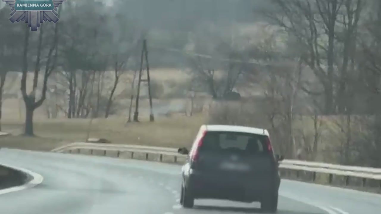 Po pościgu porzucił auto i uciekł do lasu. W środku została kobieta i jego dokumenty