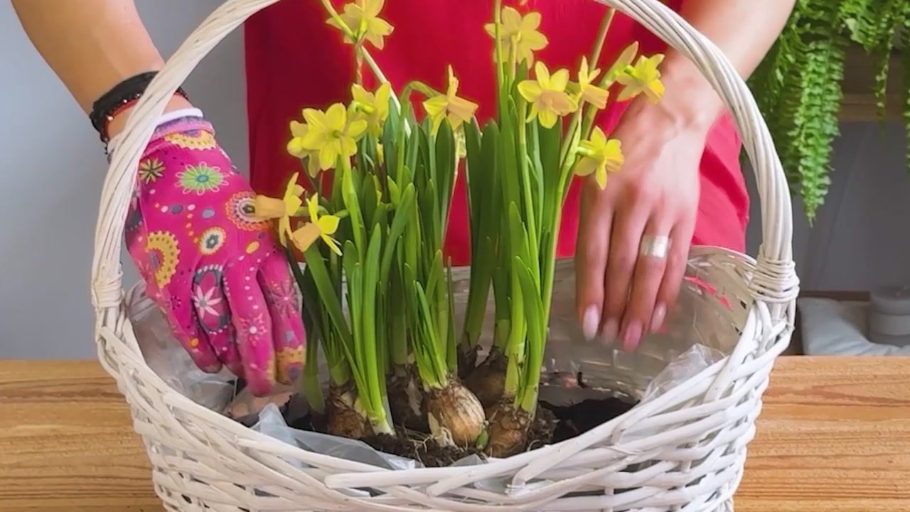 Elegancki stroik na cmentarz. Zrobisz go w kilka chwil