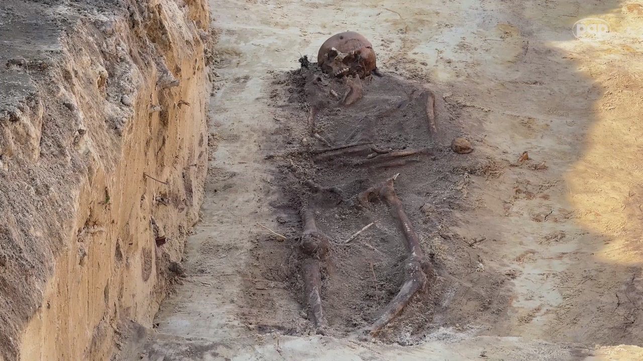 Trwają poszukiwania zbiorowej mogiły Polaków w Ugłach na Wołyniu