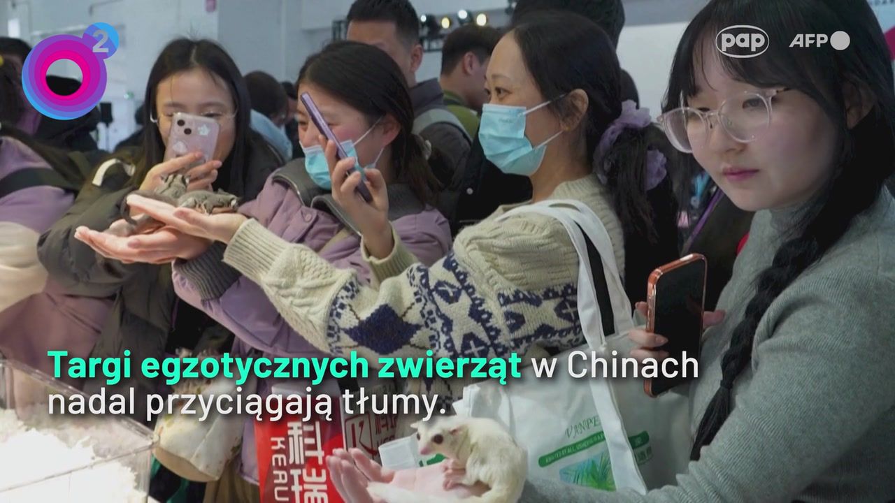 Tłumy na targach w Chinach. Tego raczej nie zobaczysz w typowym domu