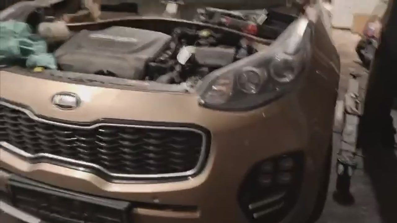 Wideo: Rozbili dziuplę samochodową. Auta były już w częściach