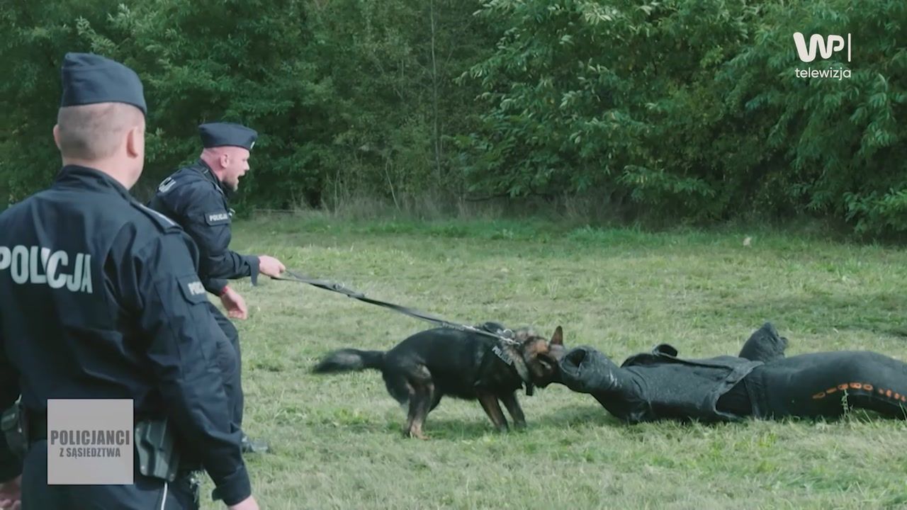 "Napastnik z nożem" kontra policyjny pies. Wystarczyła komenda