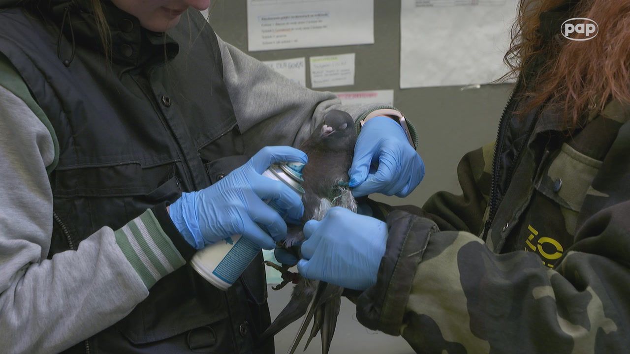 Działają dopiero dwa miesiące. Już przyjęli 700 pacjentów