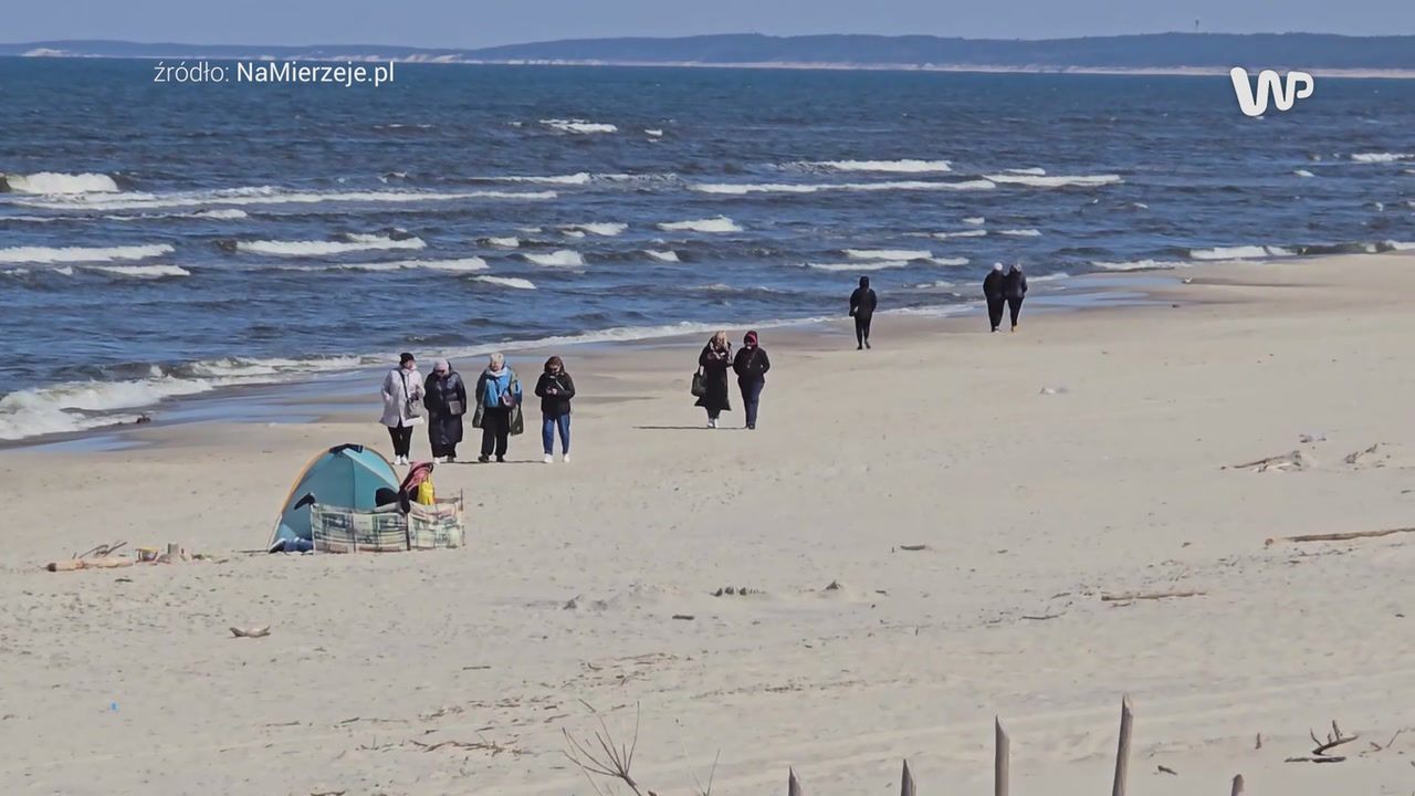 Wideo z Krynicy Morskiej. Turyści nie wytrzymali