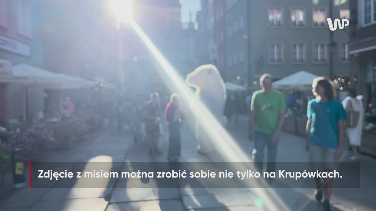 Miś nie tylko na Krupówkach. Kiczowate atrakcje w Gdańsku