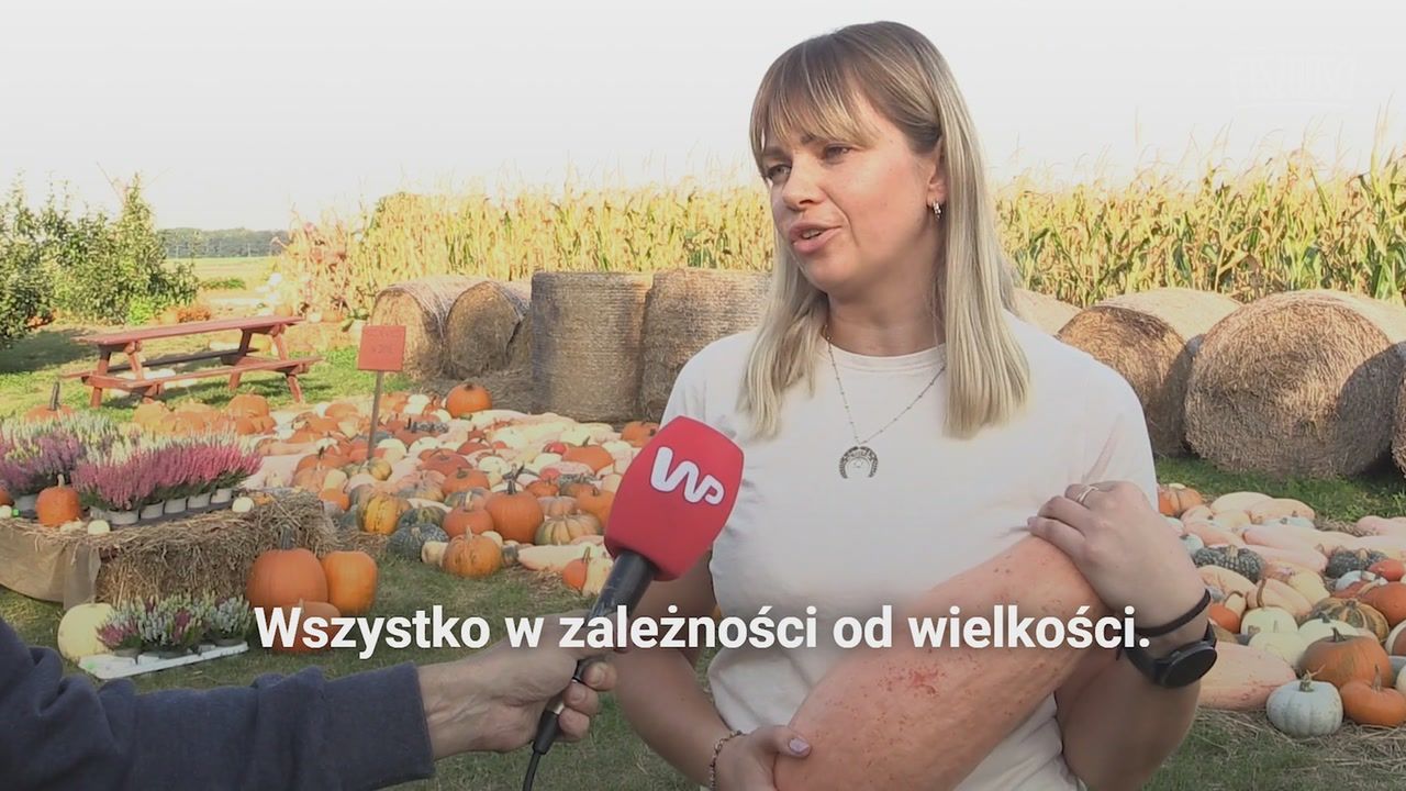 Z jakiej dyni zrobisz zupę krem i deser? Jest jedna pyszna odmiana