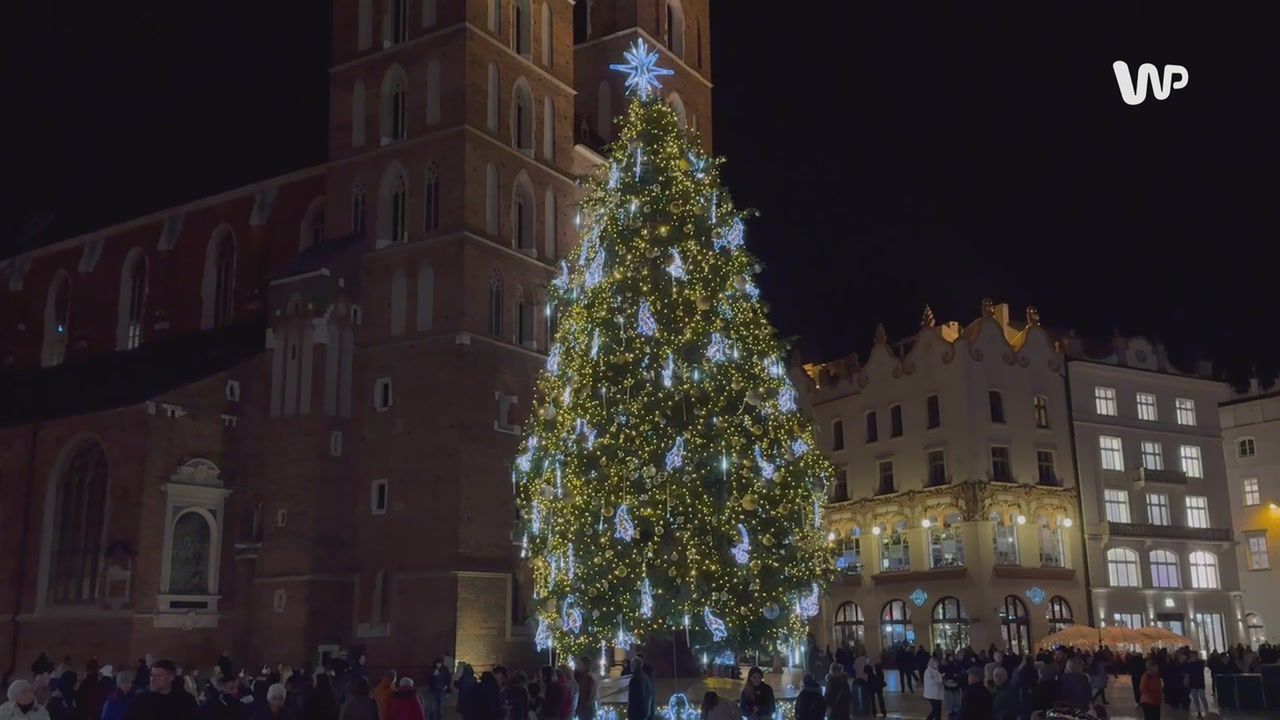 Najpiękniejsza choinka na świecie. Znajduje się w polskim mieście