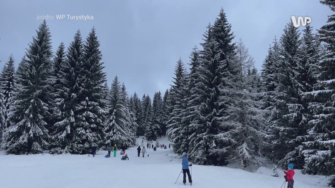 Największe błędy turystów. "Sygnał bardzo kłamliwy"