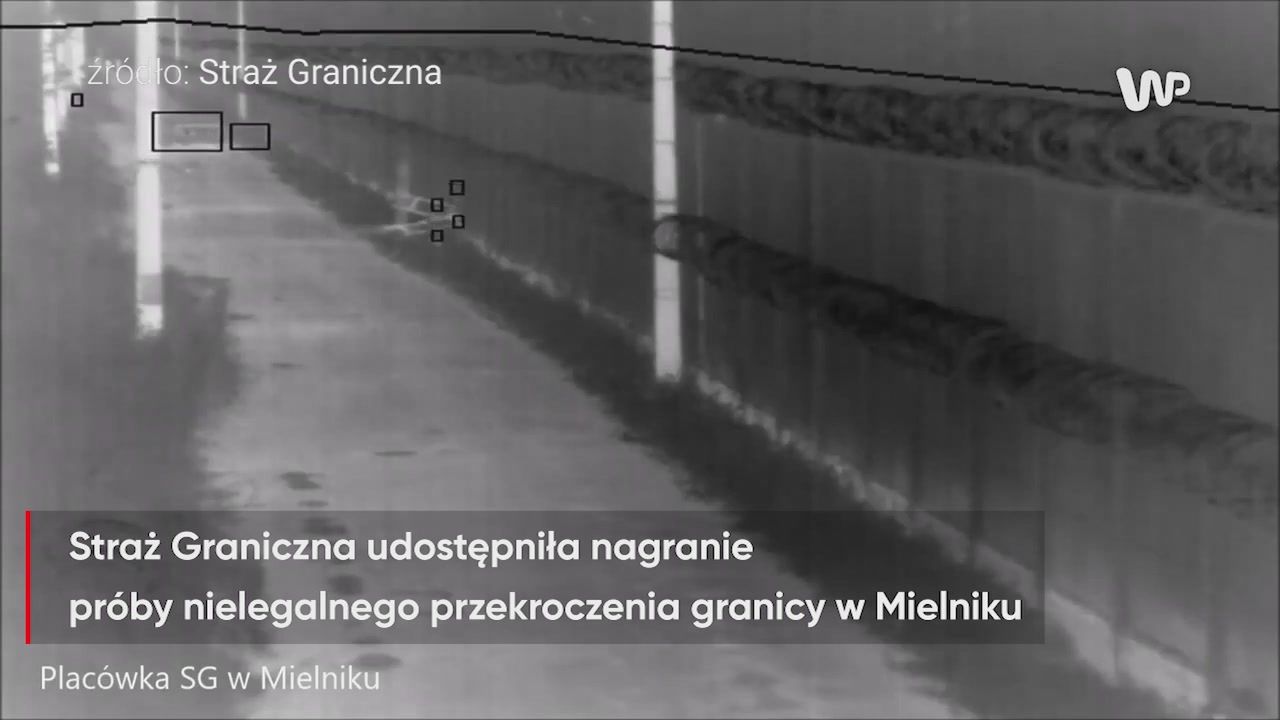 Próbowali nielegalnie przekroczyć granicę. Zostali złapani
