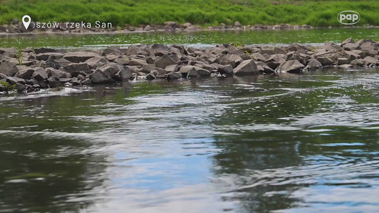 Susza w całym kraju. IMGW bije na alarm ws. poziomów rzek