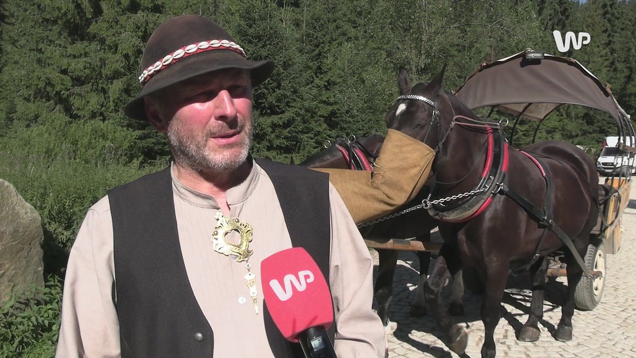 Kontrowersje w drodze nad Morskie Oko. "Konie chcecie na rzeź wysłać?"