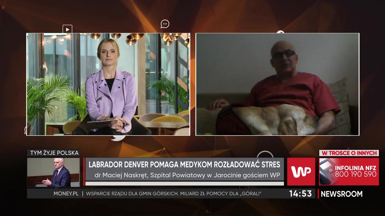 Dr Maciej Naskręt przyprowadza psa na oddział. Labrador koi nerwy medyków