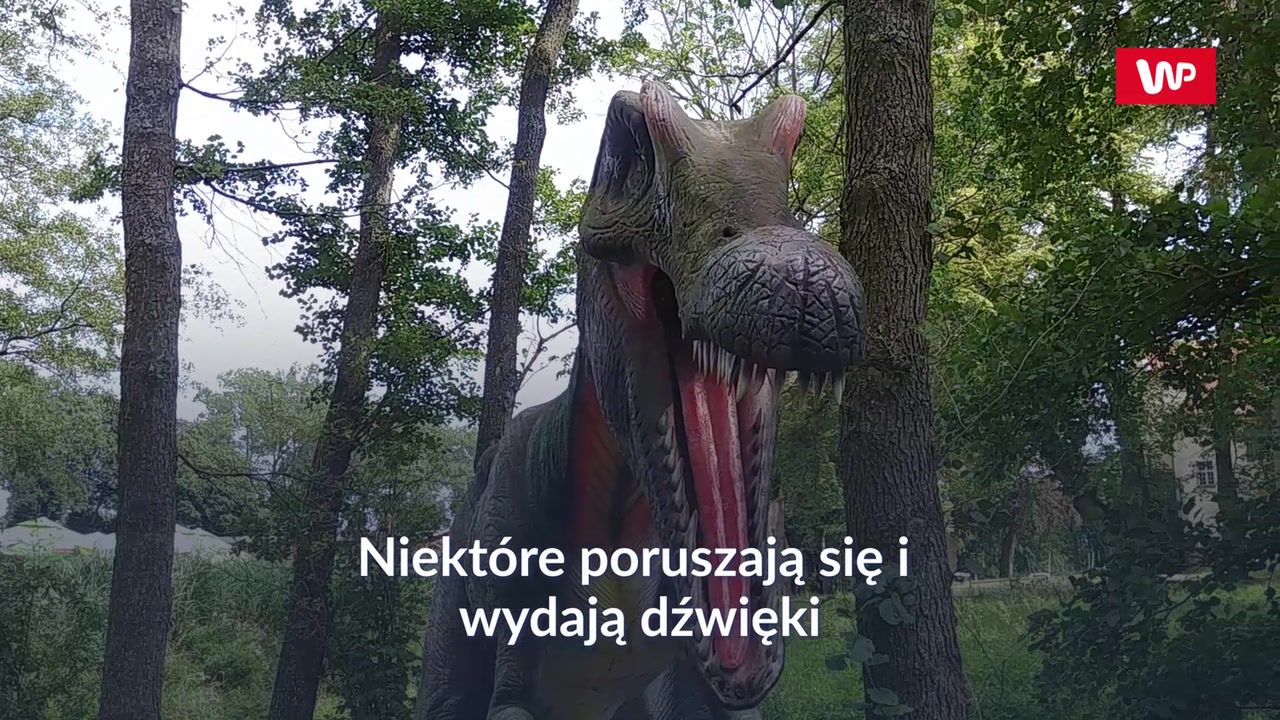 Park Ewolucji. Idealna atrakcja na weekend z dziećmi