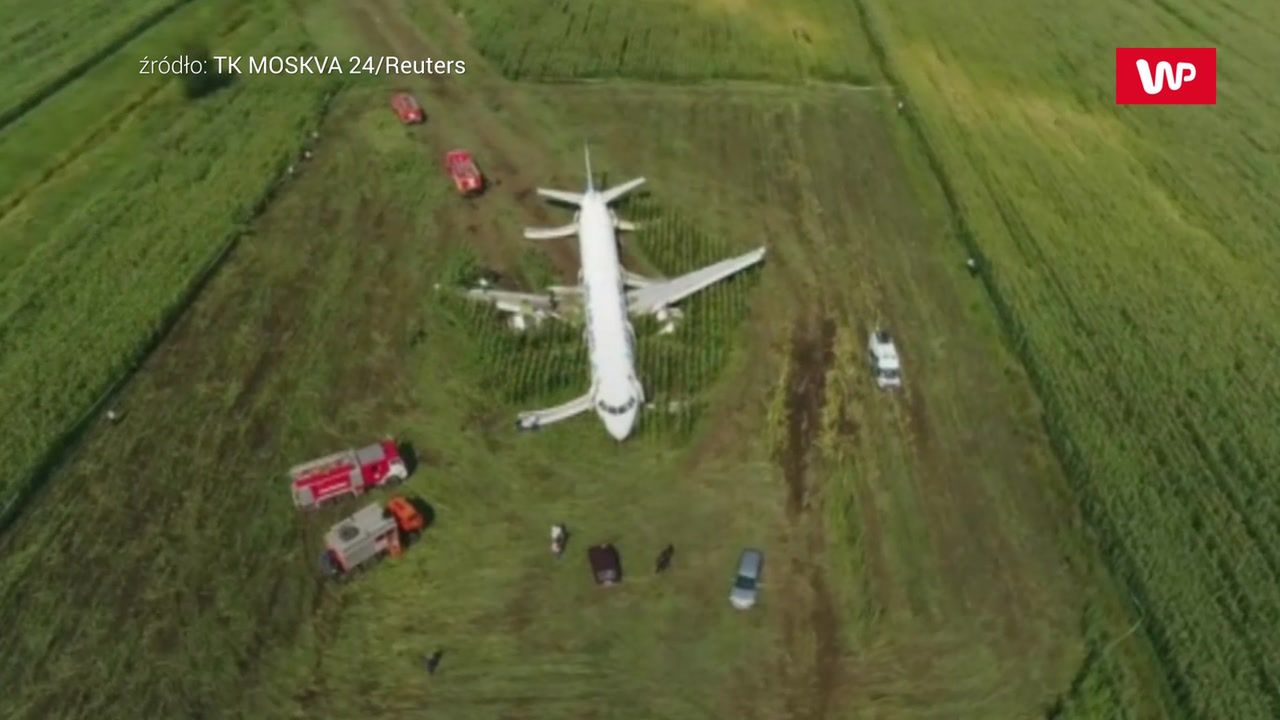 Cud w kukurydzy. Nagrania pasażerów