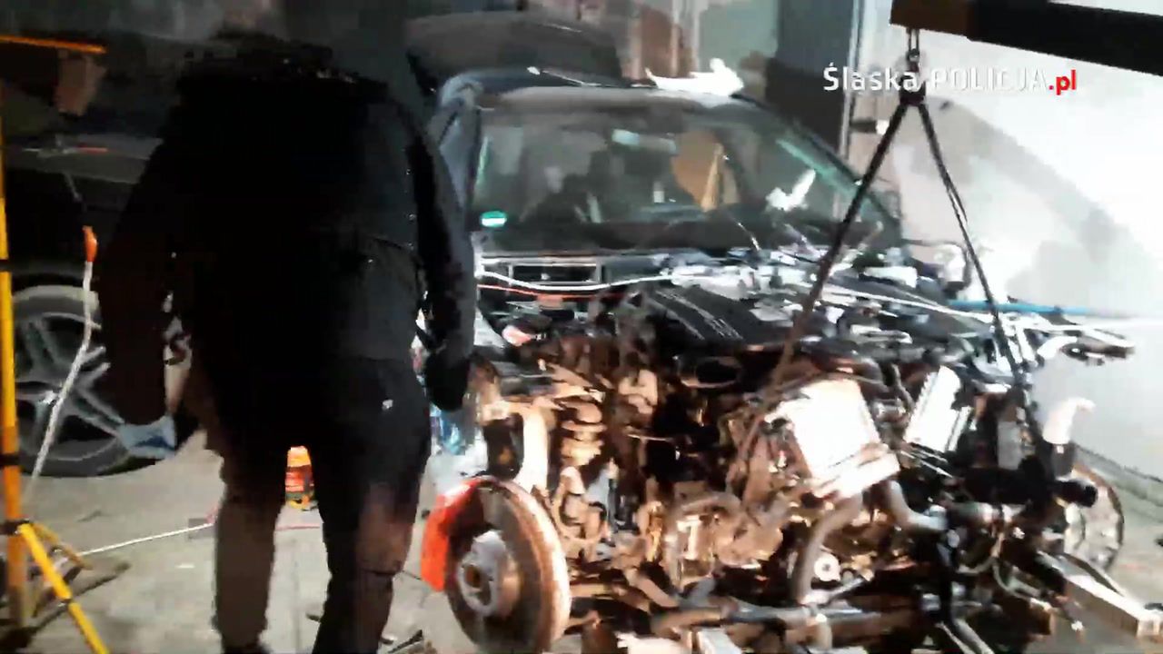 Złodzieje samochodów zatrzymani. Wideo z dziupli z luksusowymi autami