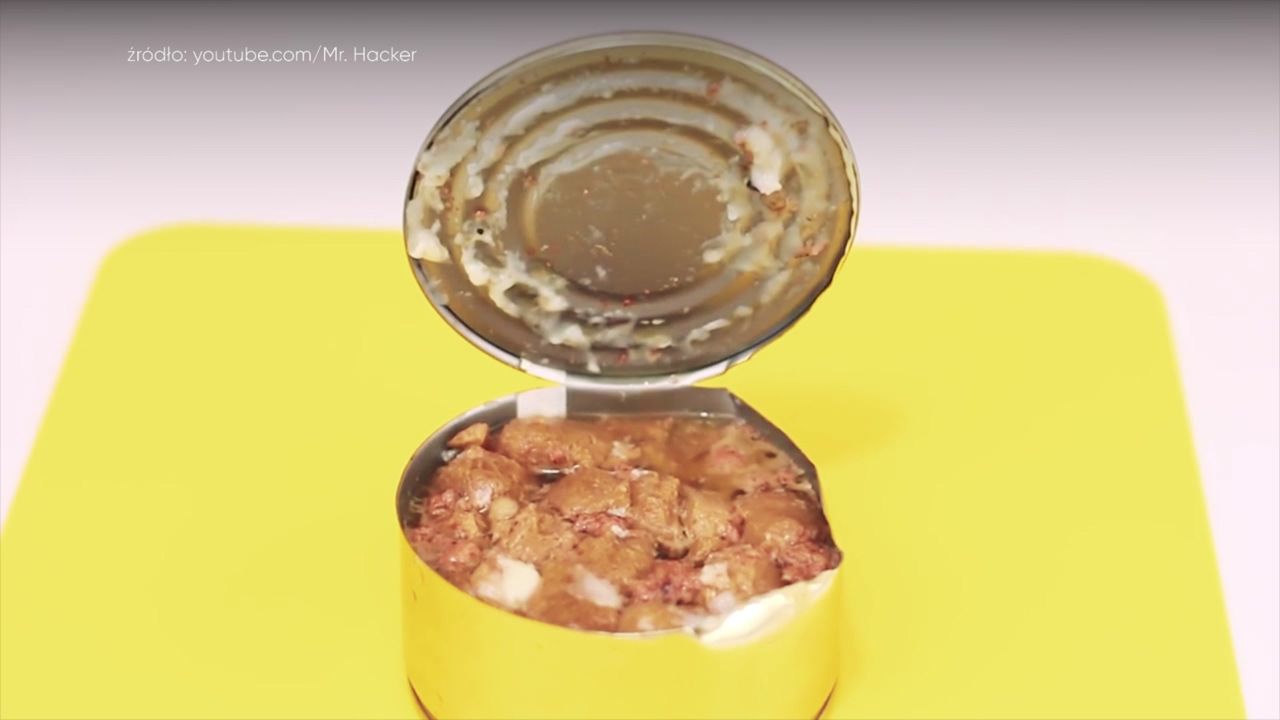 Lidl kontra Biedronka. Porównanie konserw turystycznych