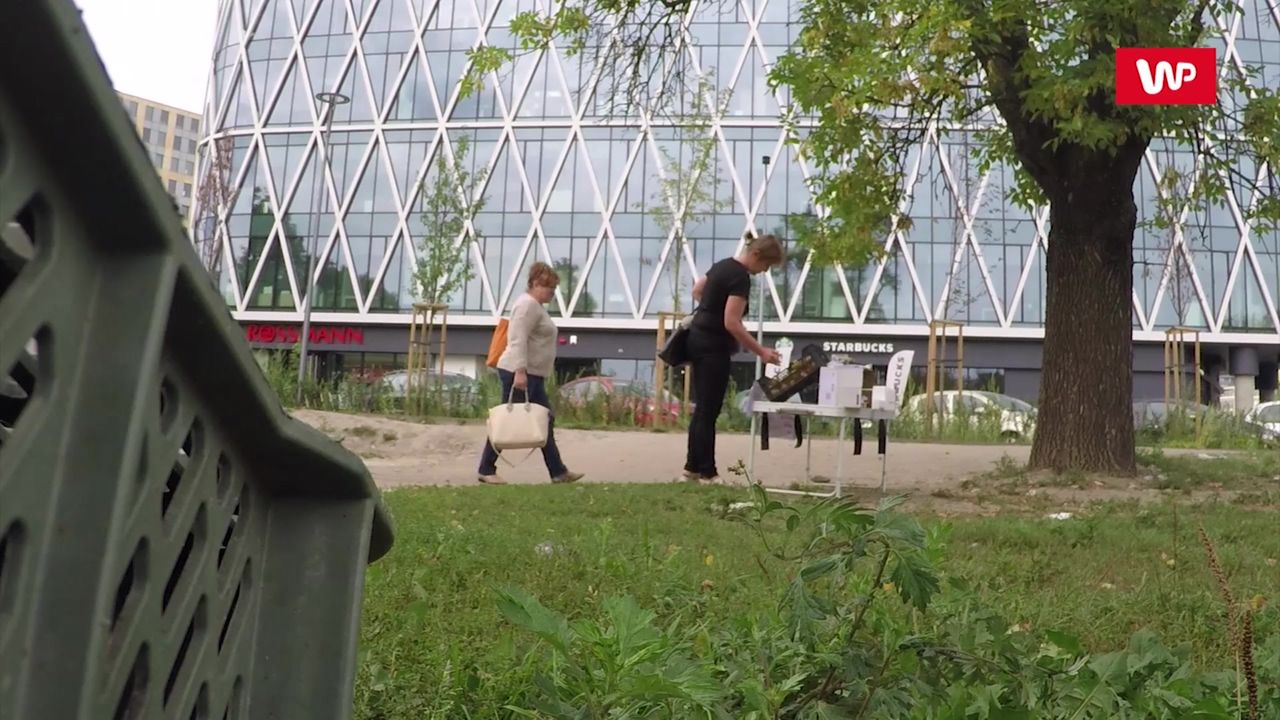 Przydrożny handel bez sprzedawcy. Za granicą to działa, sprawdziliśmy jak jest w Polsce