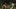 Filmowe Uncharted znowu bez reżysera