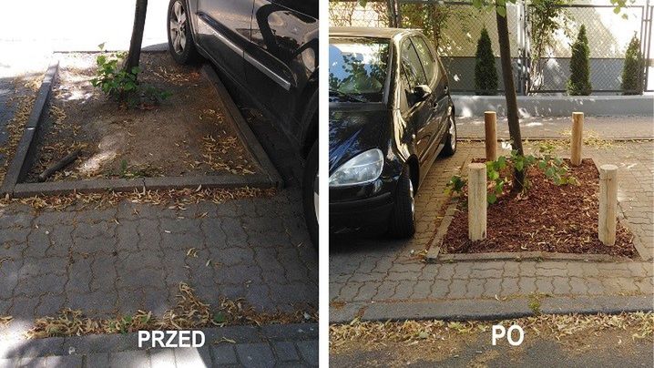Montaż drewanianych bali ochraniających drzewa na ul. Sandomierskiej. Zdjęcie przed i po montażu. Fot. Urząd Dzielnicy Mokotów