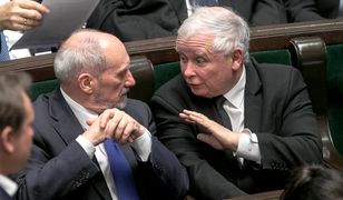 Paweł Lisicki: Powściągliwość Antoniego Macierewicza i majstersztyk prezesa