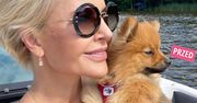 Joanna Racewicz w nowej fryzurze zrobiła prawdziwą furorę. Odmłodzona i szczęśliwa wygląda jak bogini