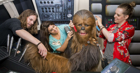 Co masz wspólnego z Chewbaccą? Zapewne używacie tych samych kosmetyków