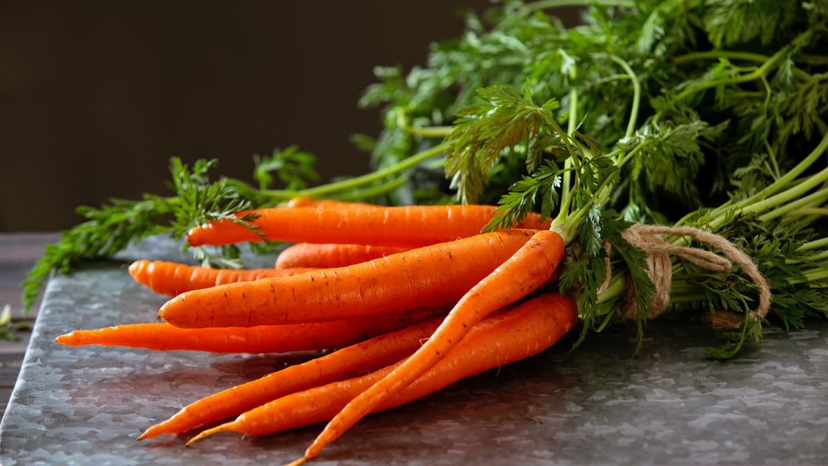 Heap of ripe carrots with leaves on dark rustic table. 