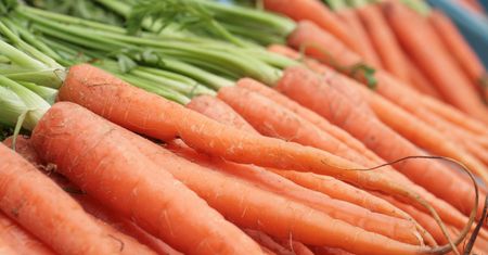 Natura potrafi zaskoczyć. Pomogła mu znaleźć obrączkę