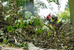 Drzewo runęło na plac zabaw. Lekko ranna dziewczynka