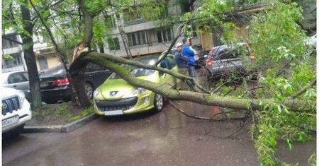 Na jego auto spadło drzewo. Zobacz, dlaczego może się cieszyć