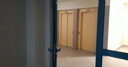 Smród kocich fekaliów uniemożliwia im normalne życie. Walczą od lat