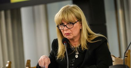 "Bydło" i "swołocz". Małgorzata Gosiewska o przeciwnikach PiS