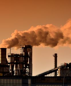 Brexit katastrofalny dla ekologii. Skutkiem zanieczyszczenie Wielkiej Brytanii