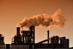 Brexit katastrofalny dla ekologii. Skutkiem zanieczyszczenie Wielkiej Brytanii