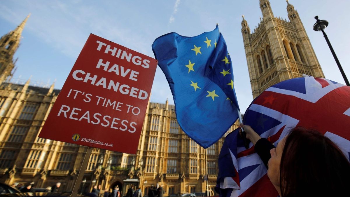 Przeciwnicy brexitu przed brytyjskim parlamentem