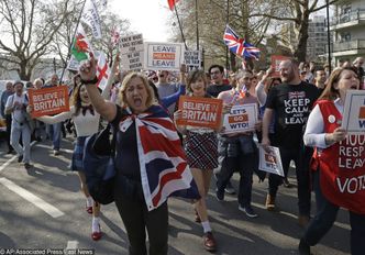 Brexit. Byliśmy wśród protestujących Brytyjczyków. Widok momentami kuriozalny
