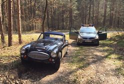 Austin Healey porzucony w lesie