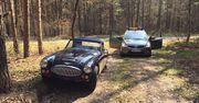 Austin Healey porzucony w lesie