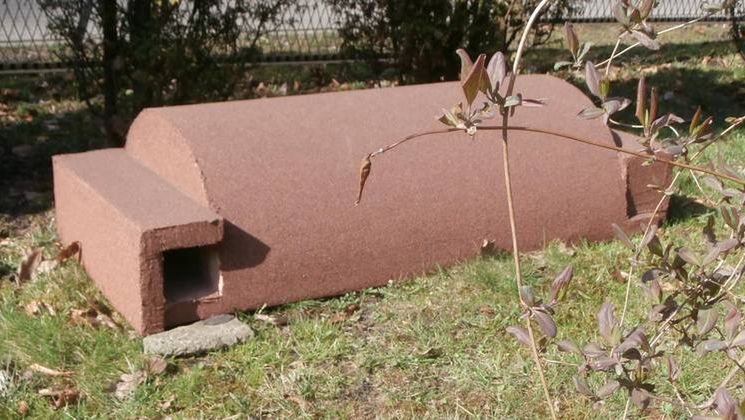 W Rybniku powstanie schronisko dla jeży