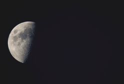 Zaćmienie Księżyca – lipiec 2019. Lato zaskoczy nas ciekawymi zjawiskami astronomicznymi. Sprawdź, kiedy możemy zobaczyć Perseidy i Zaćmienie Księżyca