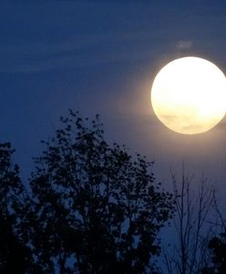 Superksiężyc 2019: we wtorek 19 lutego Księżyc znajdzie się najbliżej Ziemi. To najjaśniejsza pełnia w roku