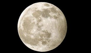 "Wilczy Księżyc" zawył. Niezwykła pełnia Księżyca podbiła Wasze serca