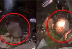 Gimnazjalistki odpowiedzą za podpalenie jeża. Sąd zdecydował jak