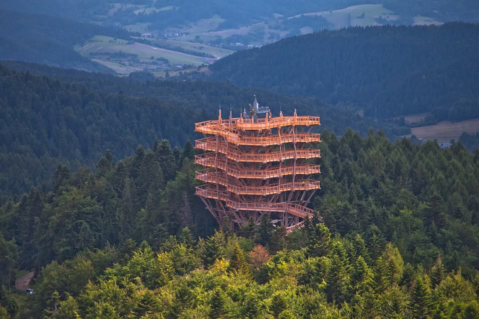 Obraz