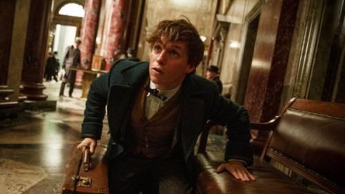 Eddie Redmayne fot. Warner Bros. Entertainment Polska