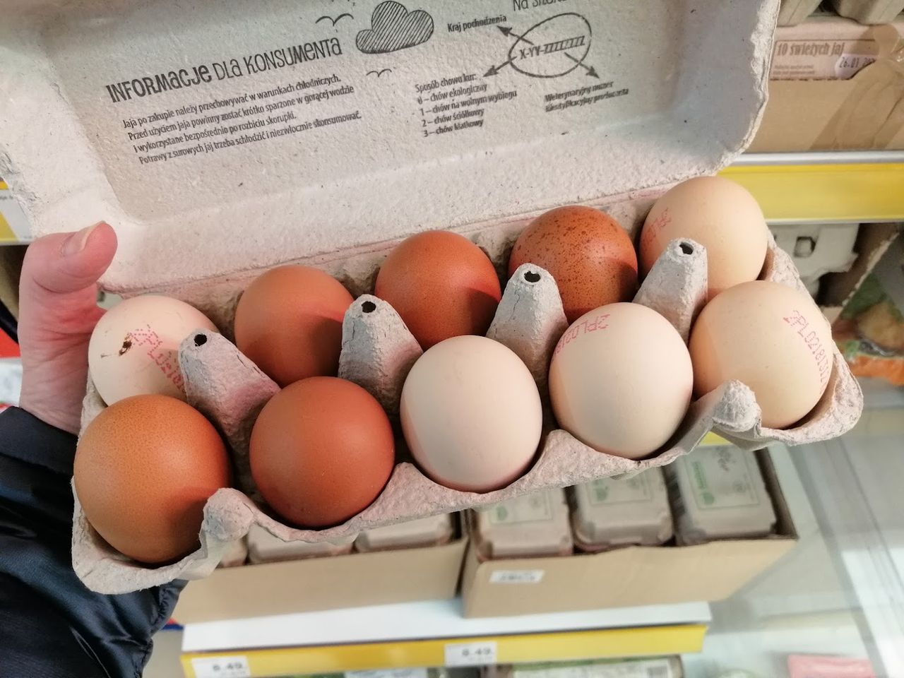 jak sprawdzić czy jajka są świeże fot. genialne.pl