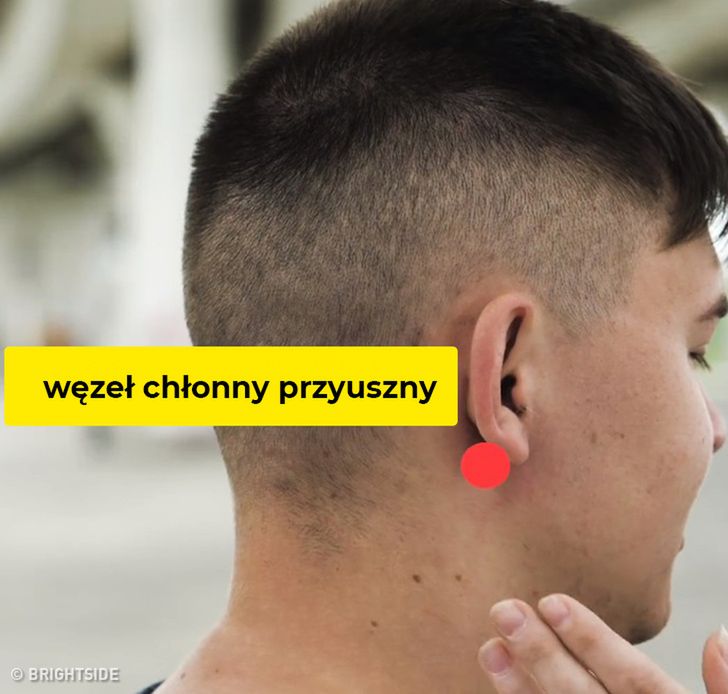 Obrazek