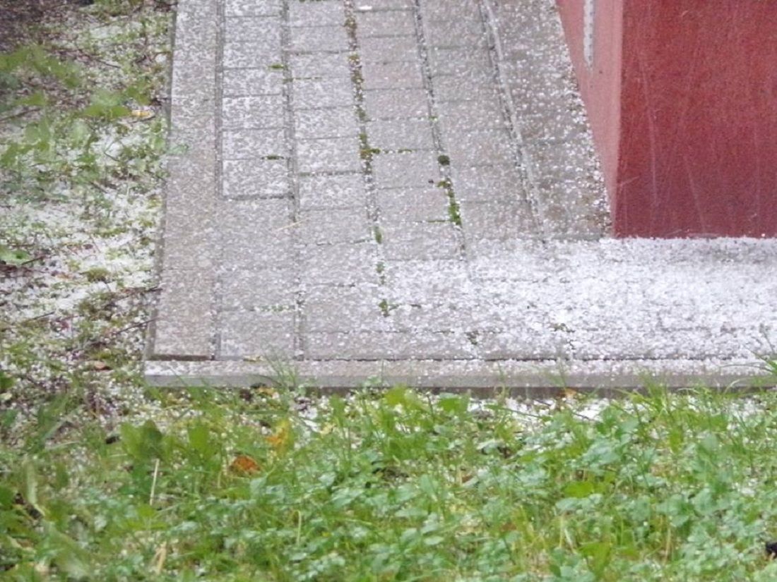 Krupa śnieżna 