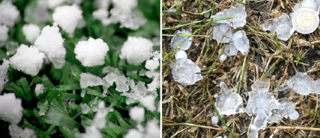 Krupa śnieżna (po lewej), grad (po prawej) 
