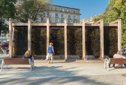 Warszawa. Na Bemowie powstanie tężnia